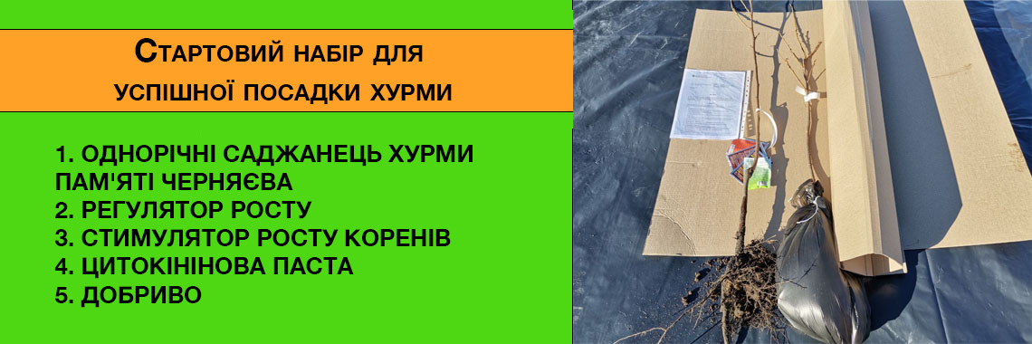 Стартовый набор