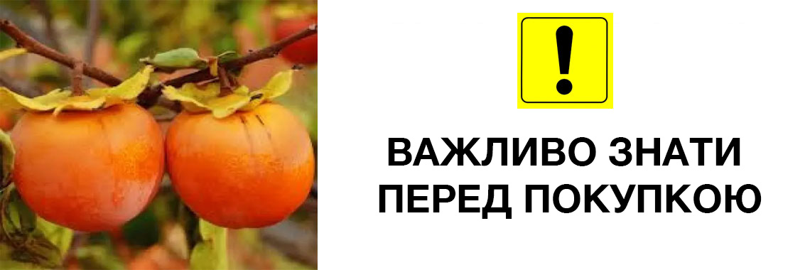 Важно знать